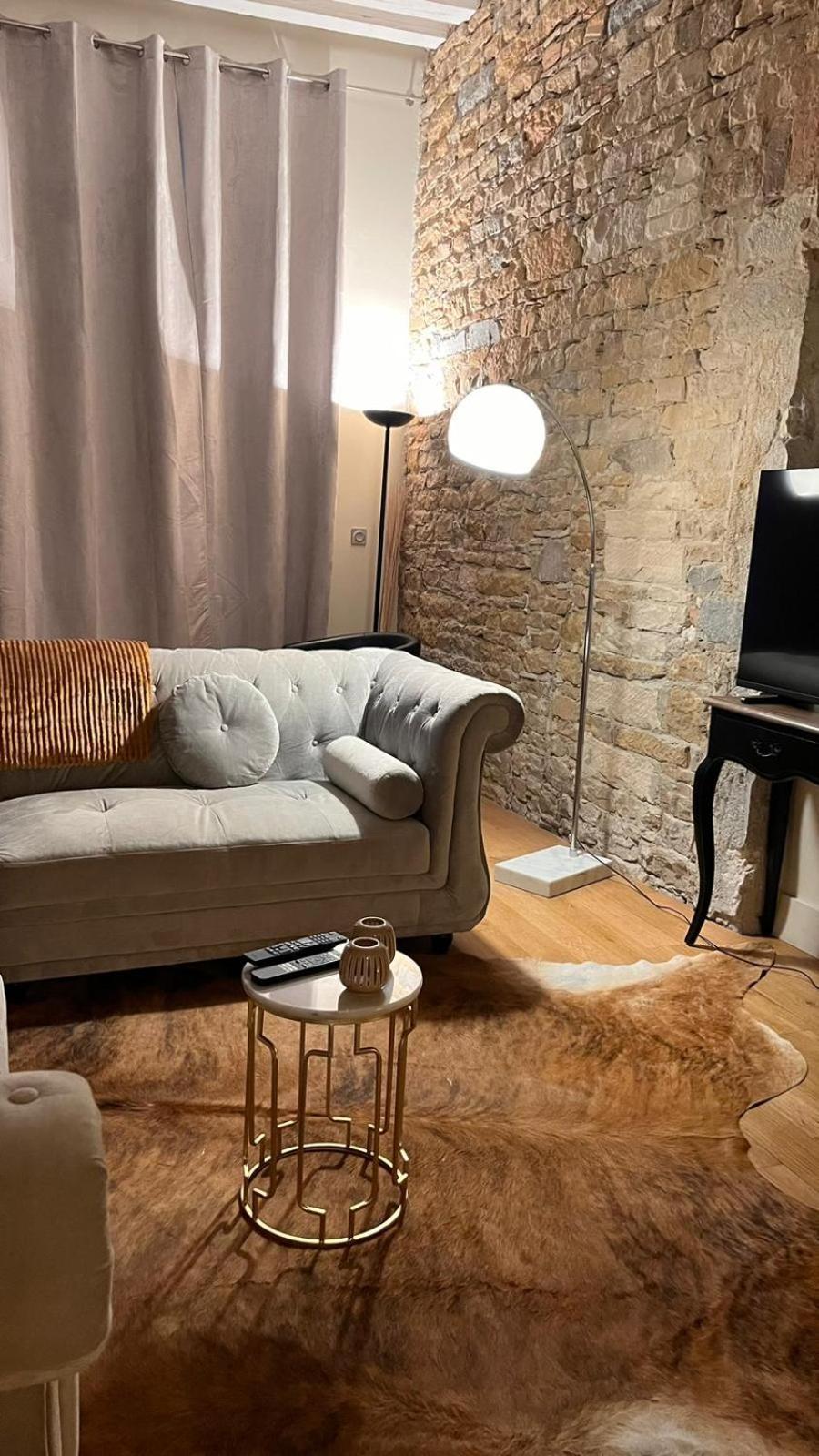 Le Panorama Apartment Lyon Ngoại thất bức ảnh